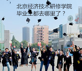 北京经济技术研修学院毕业生都去哪里了？